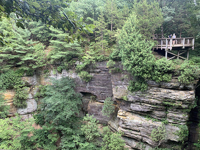 Starved Rock State Park - view from the top of a canyon